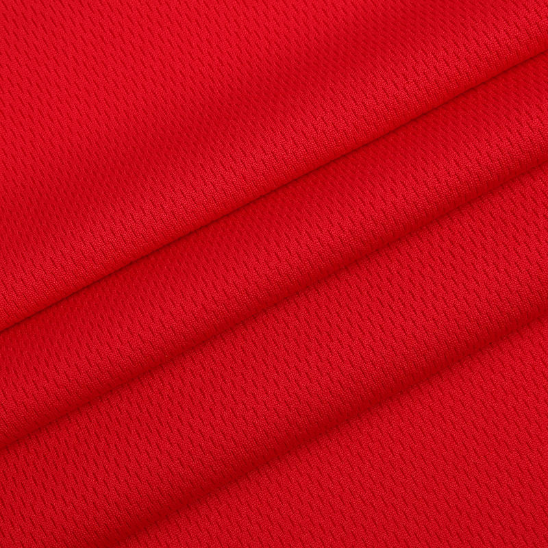75D/72F DTY Calendered Super Birdseye Mesh Fabric 75D/72F DTY Calendered Super Birdseye Mesh Fabric